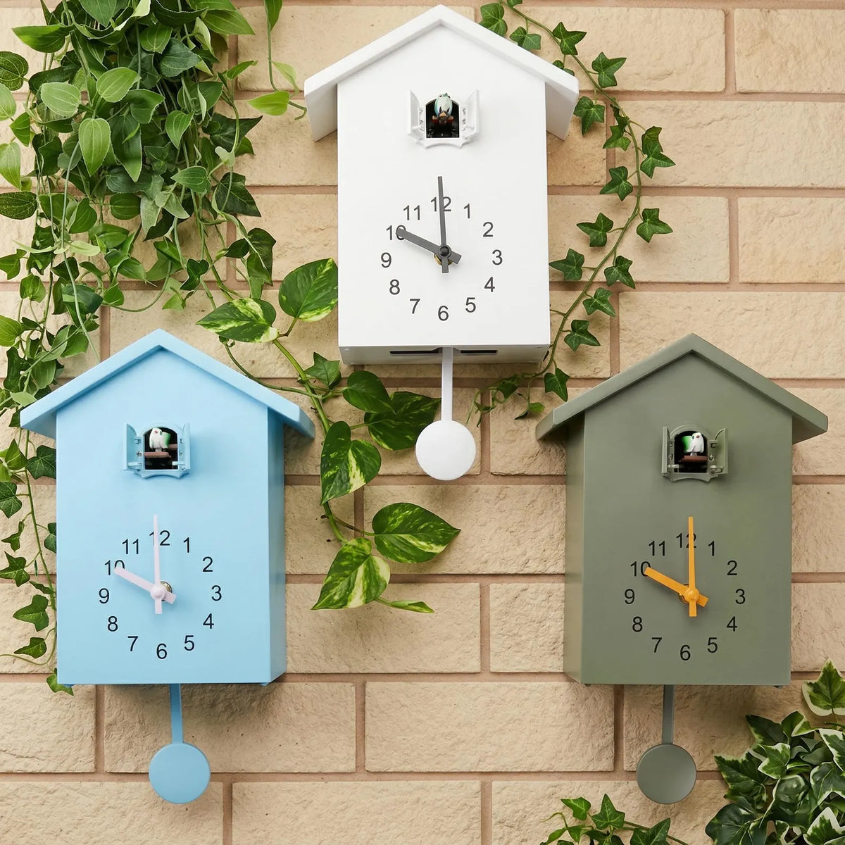 Cuckoo Clock Wall Mount